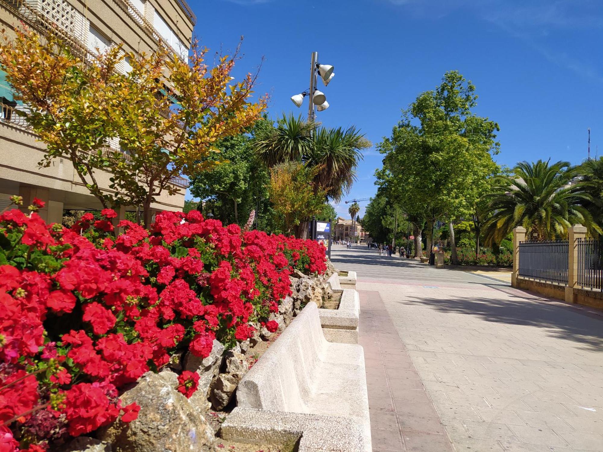 Alojamiento Los Alamos Alcalá la Real Exteriér fotografie